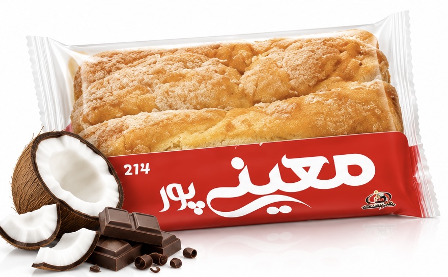 دانمارکی معینی پور